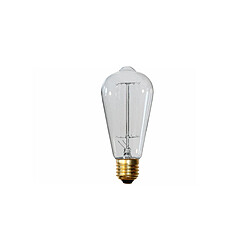 ICONIK INTERIOR Ampoule Edison Vintage - Squirrel Transparent