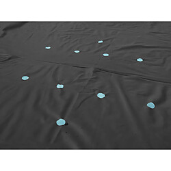 Acheter BESTWAY Flowclear 427x250 cm Ovale