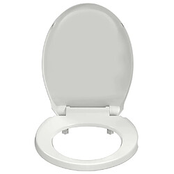 Acheter vidaXL Ovale Blanc