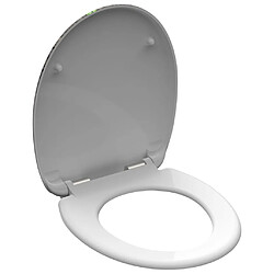 Avis Schütte Siège WC Ginkgo & Wood