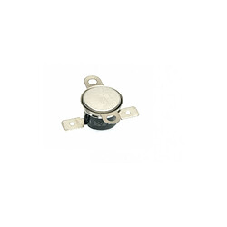 Scholtes thermostat pour four 75°C