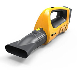 Domergue Dominique Souffleuse STIGA BL 100e