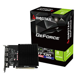 Biostar NVIDIA GeForce GT 730 - 4 GB GDDR3