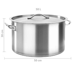 vidaXL Marmite 58 L 50x30 cm Acier inoxydable pas cher