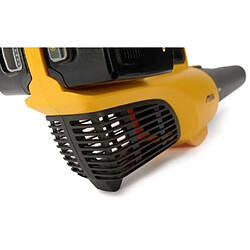 Avis Domergue BL 300e - Souffleur sans fil