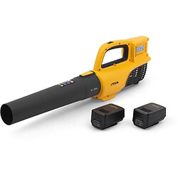 Domergue Stiga BL300e Kit 20 V