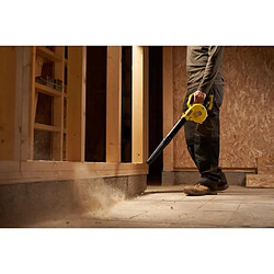 Aspirateur souffleur