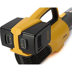 Aspirateur souffleur