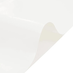 Acheter vidaXL Bâche Blanc - 4x5 m 600 g/m²