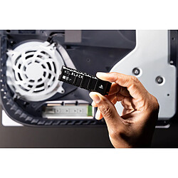 Avis Sandisk WDBBYV0010BNC-WRSN 1Go M.2 2280