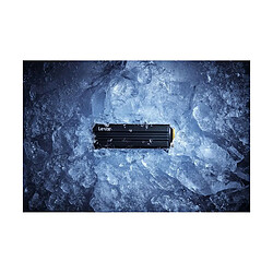 Lexar NM790 - 1 To