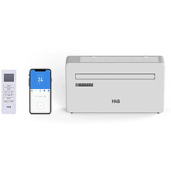 H&B MONO-3000W