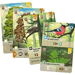 Asmodee Forêt Mixte