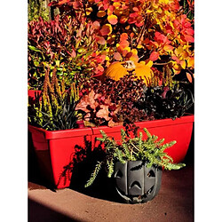 Avis Riviera Jardinière rectangulaire - Rouge