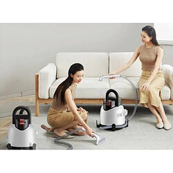 Eziclean Spot Remover W2