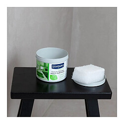 Avis SOLUVERT Pierre de nettoyage blanche 375 g