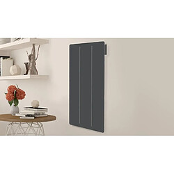 Avis Carrera YOX VERTICAL 1500W Anthracite