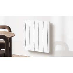 Avis CARRERA JEYO 1000W - Blanc