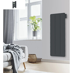 Acheter Carrera YOX VERTICAL 1500W Gris Anthracite