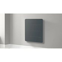Avis Carrera YOX 1000W Gris Anthracite