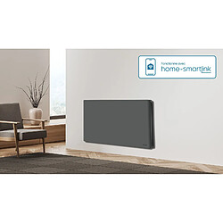 Carrera Dakota - Gris Blanc