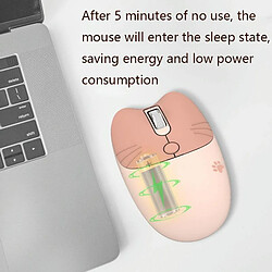 Yonis Souris Grise pas cher