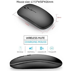 Yonis Souris double mode Blanche pas cher