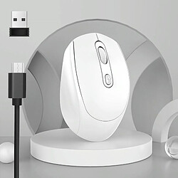 Yonis Souris Sans Fil Rechargeable Ergonomique