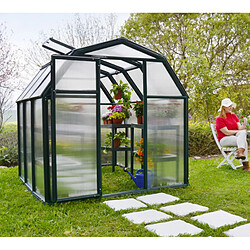 Serre de jardin 3.9m² verte - 702521 - PALRAM