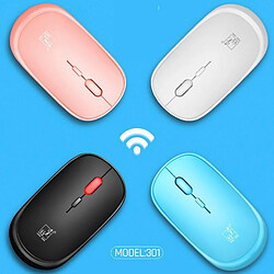 Souris