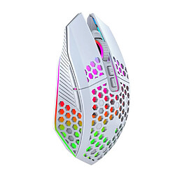 Yonis Souris Gaming Sans Fil Rechargeable RGB