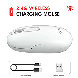 Avis Yonis Souris plate double Blanche