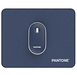 Avis Pantone Bleue