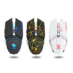 Souris