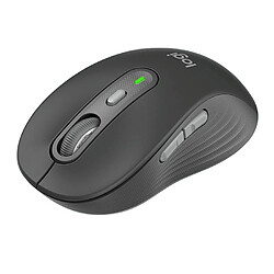 Souris