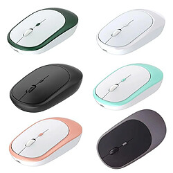 Souris