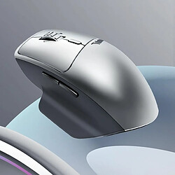 Souris