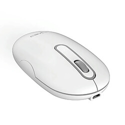 Souris