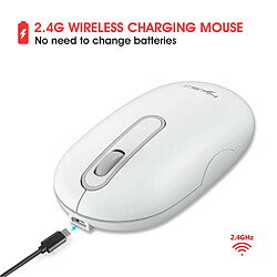 Acheter Yonis Souris plate double Blanche