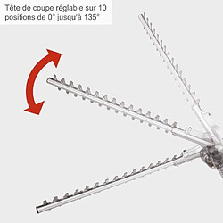 Taille-haies