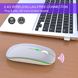 Acheter Yonis Souris argent