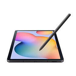 Samsung Galaxy Tab S6 Lite 2024 Gris