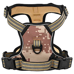 Equipement de transport pour chien
