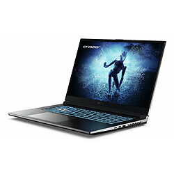 Acheter Medion 17,3" i7-12650H