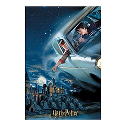 Harry potter Puzzle 3D Harry & Ron - 300 pièces