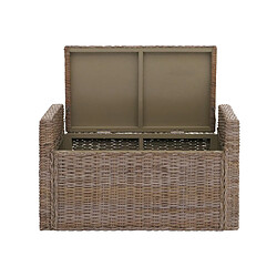 Mendler Coffre de rangement en rotin - Gris pas cher