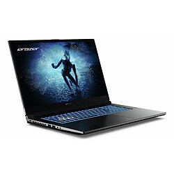Avis Medion 17,3" i7-12650H
