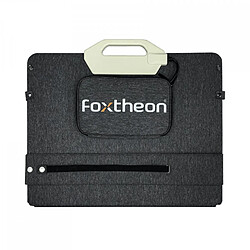 Foxtheon panneau solaire portable SP120