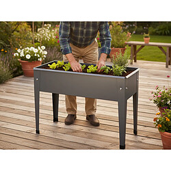 Esschert Design Esschert Garden 62x29x45 cm