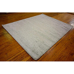 Hadorn Tapis Luxe Solid Shag Gris